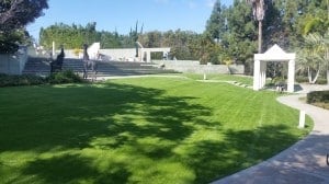 This amazing lawn was created with our affordable PG 40!