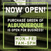 Purchase Green Artificial Grass Albuquerque is OPEN!