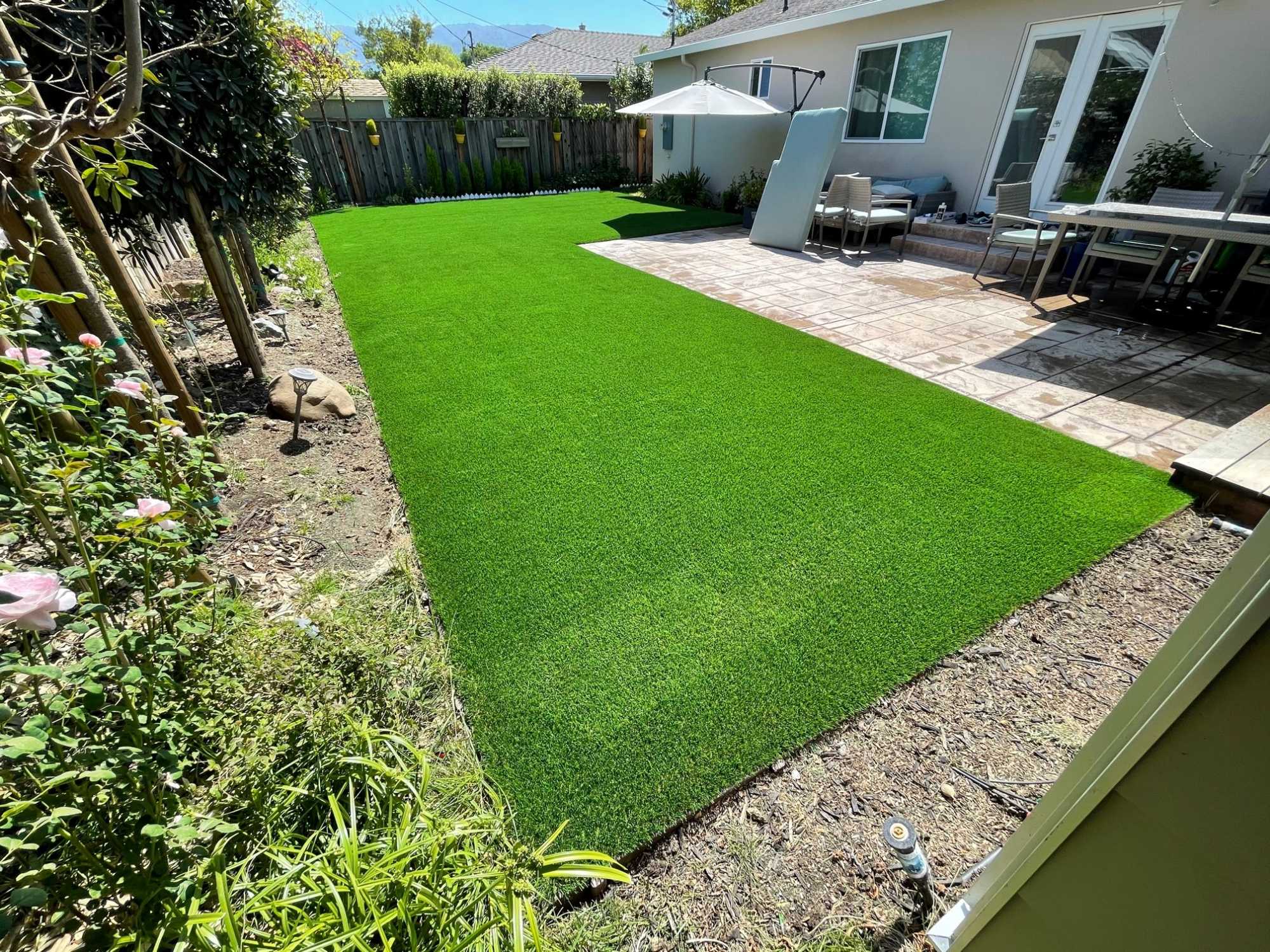 Arizona Platinum Spring - Image 6