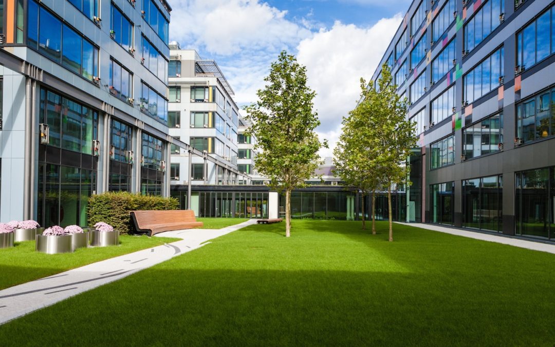 Water Wise: Artificial Grass for Businesses, Hotels, and Commercial Properties