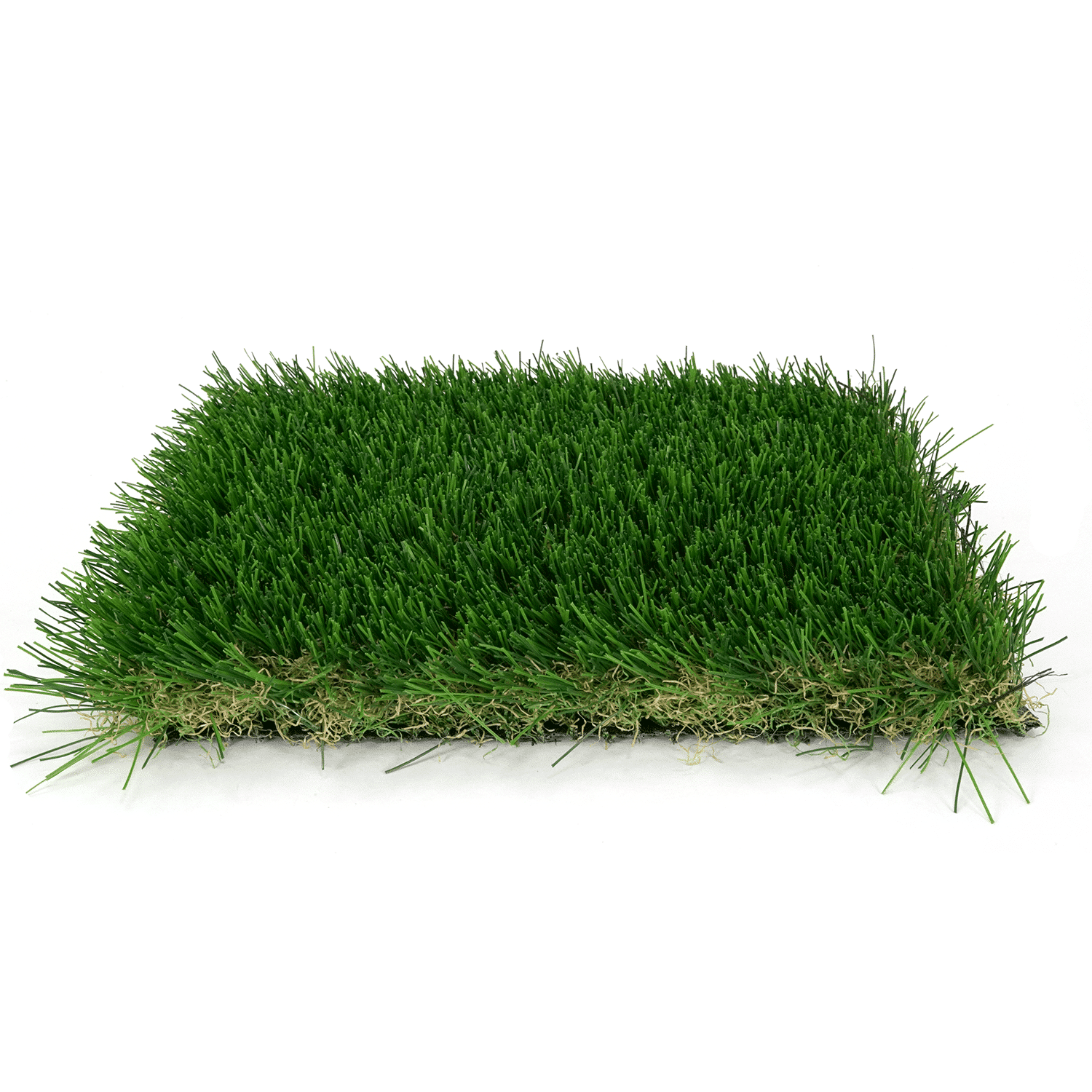 Arizona Platinum Spring - Image 2