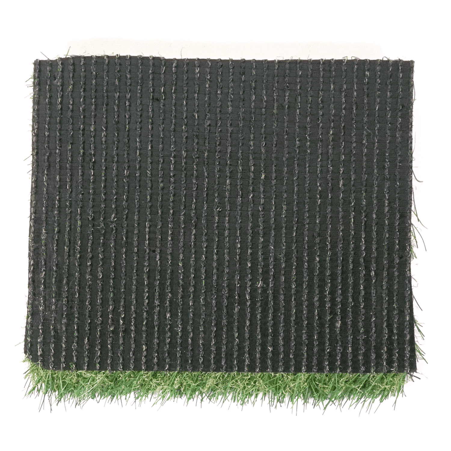 Arizona Pro - Spring - Image 3