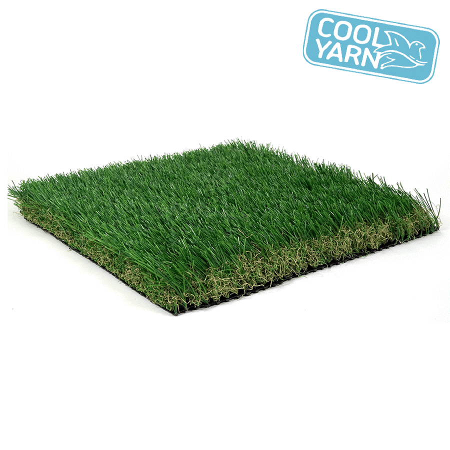 Arizona Pro - Spring