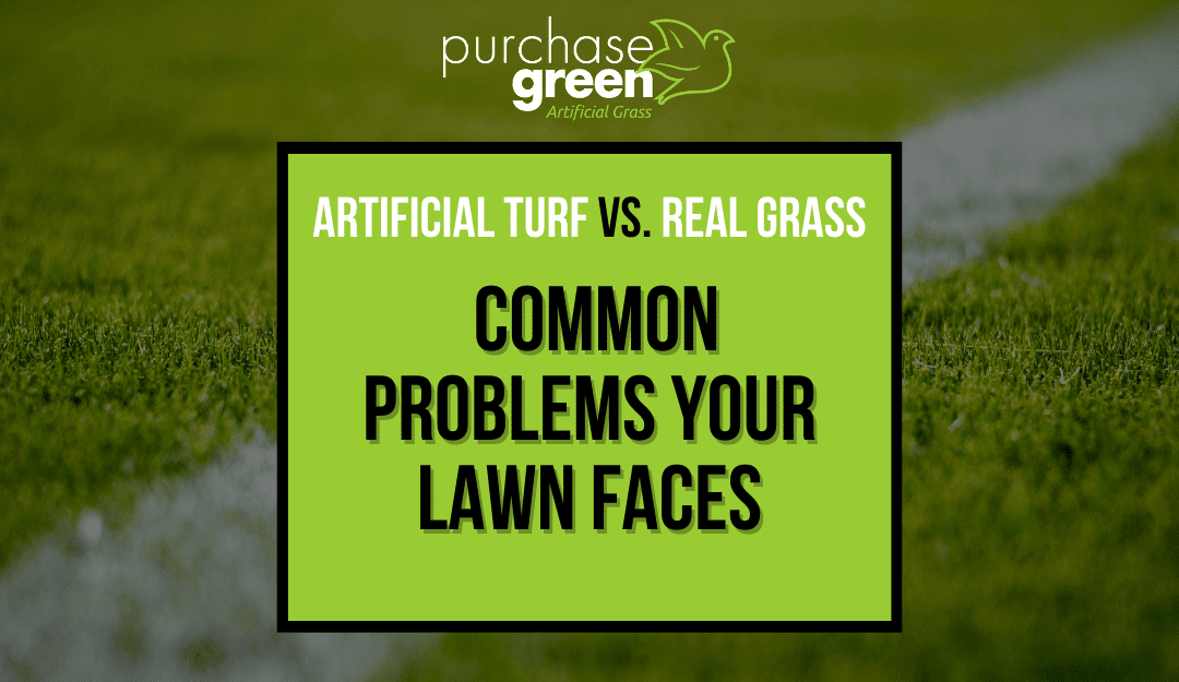 Artificial Turf vs Real Grass