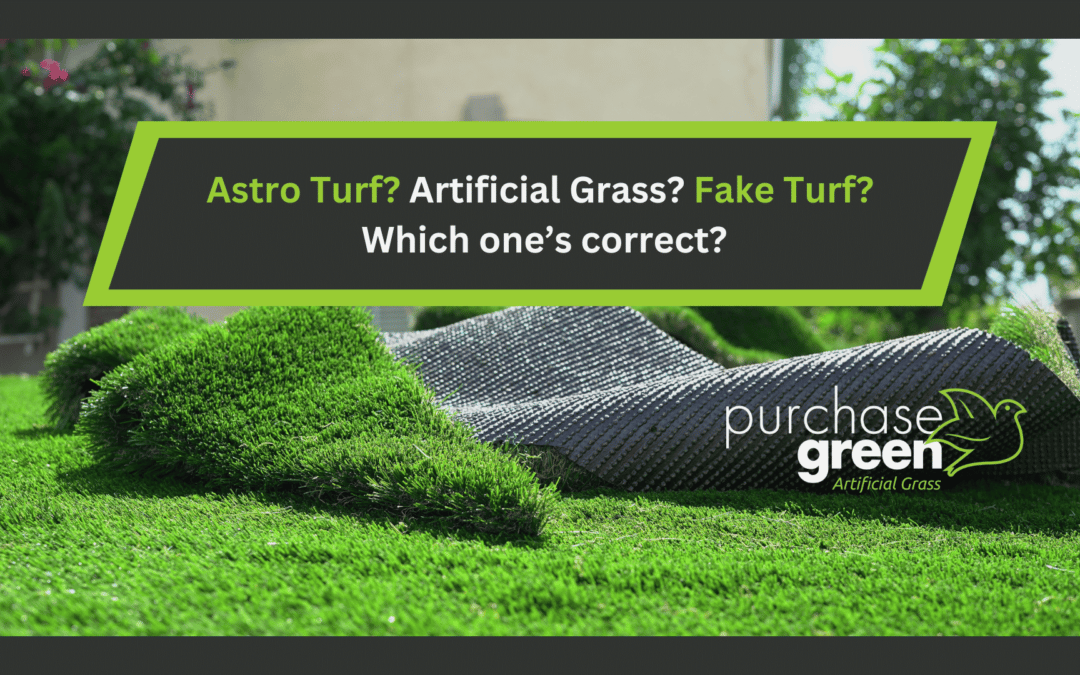 Astro turf? Artificial Grass? Fake Turf? Which one’s correct?