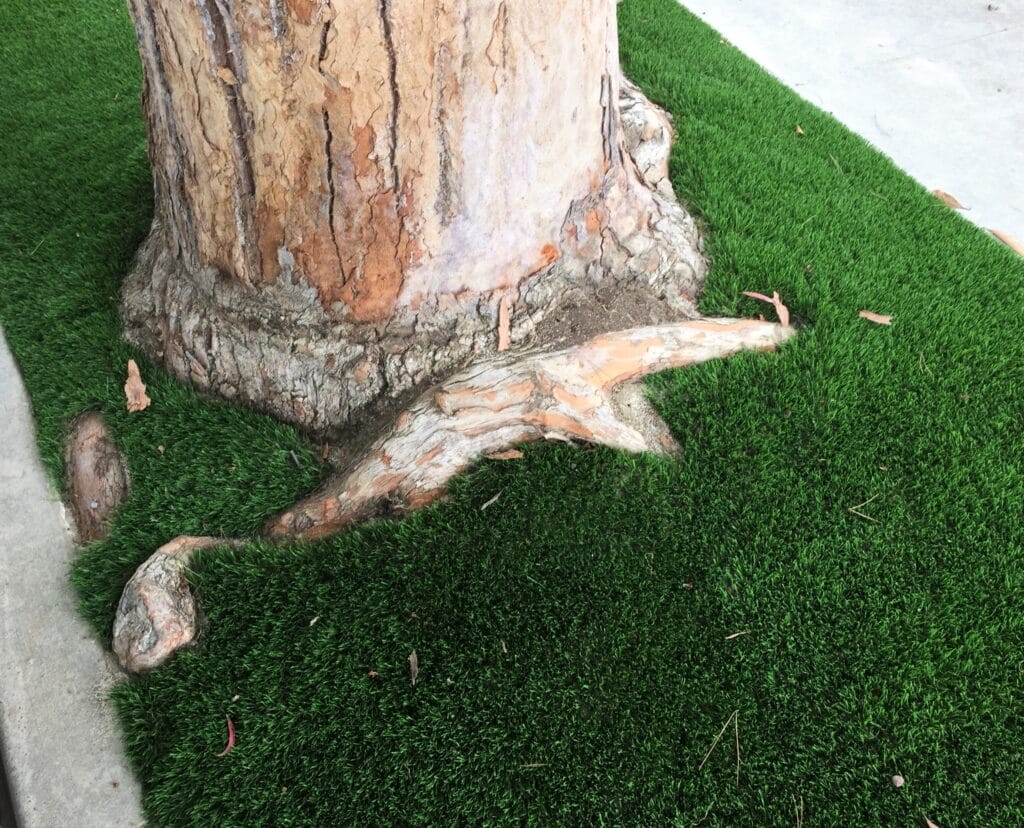 artificial grass installed around roots