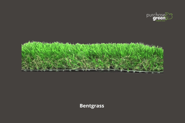 2023 artificial grass product: Bentgrass
