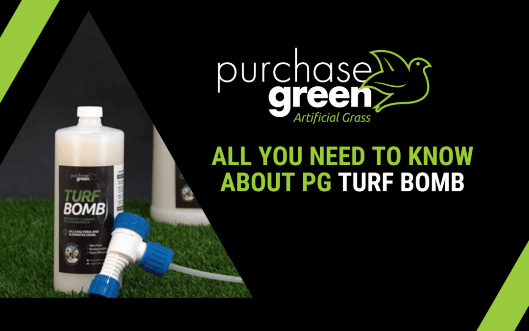 All You Need to Know About PG Turf Bomb Enzymatic Cleaner & Deodorizer