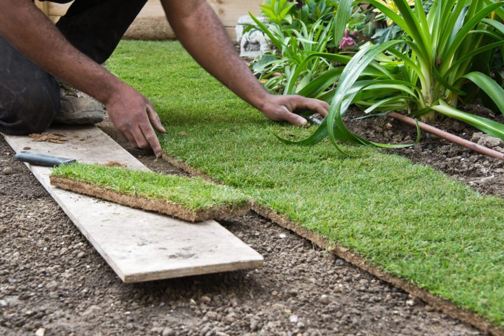california-helps-homeowners-install-artificial-grass-the-turf-removal