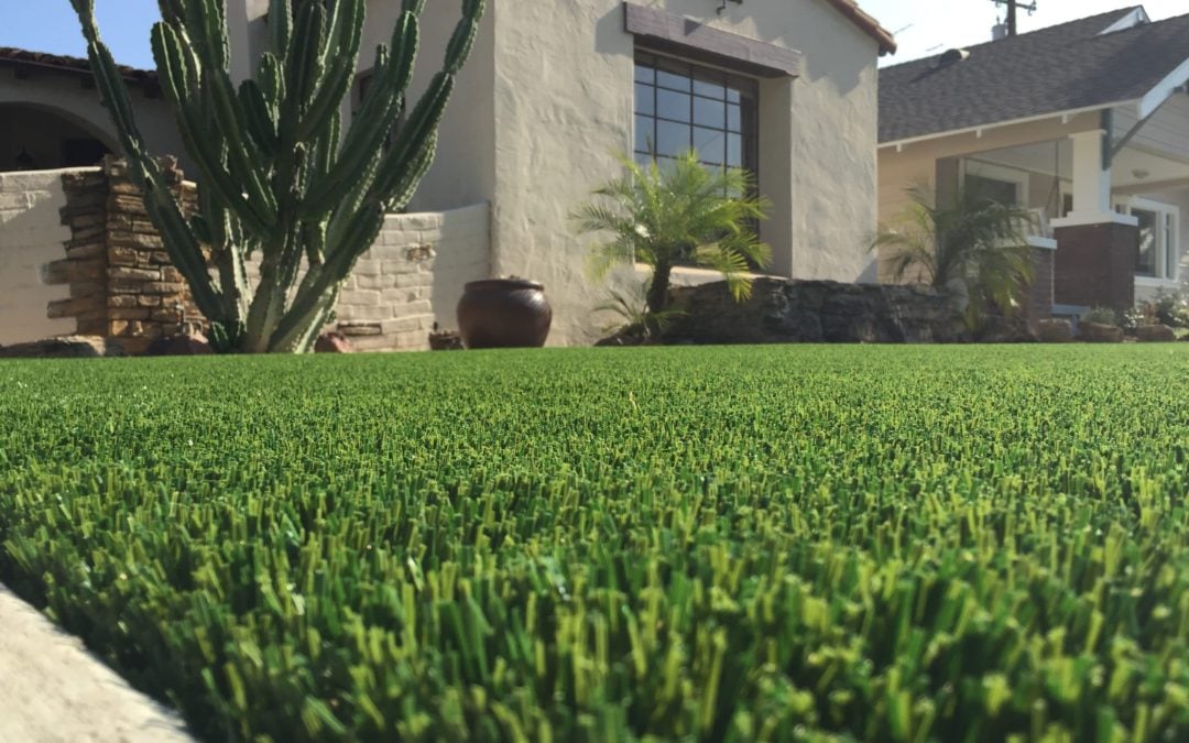 The Ultimate Lifehack for Lawns