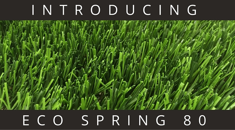 Meet Eco Spring 80 – Our Newest Grass