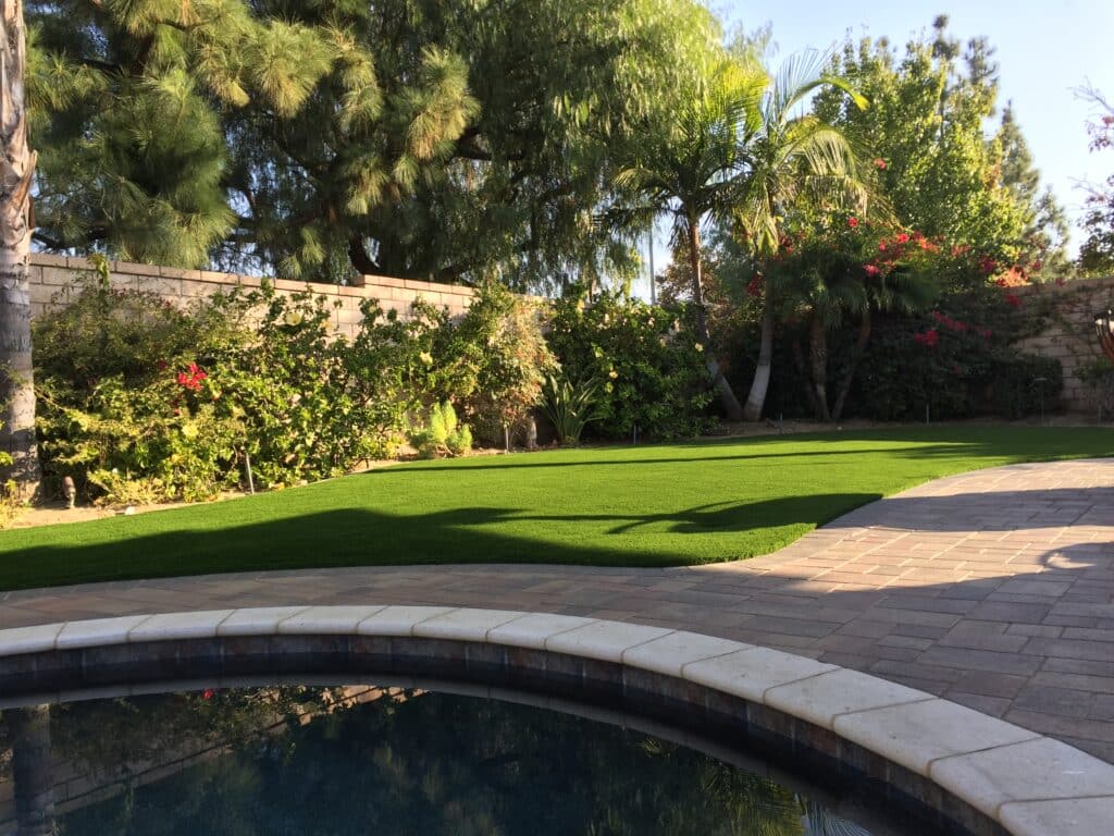 backyard turf with pool