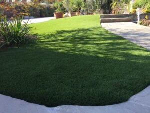 Arizona Platinum Olive - Image 5