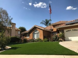 Arizona Platinum Olive - Image 6