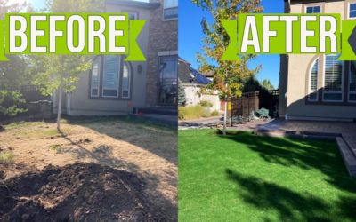 A Colorado Homeowner’s 800 Square Foot Artificial Grass Installation Cost