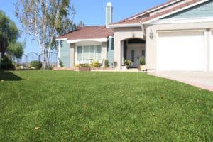 Our Nature's Sod Premier was used to create this beautiful, realistic lawn.