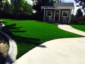 For a super lush lawn, consider our Vista Line.