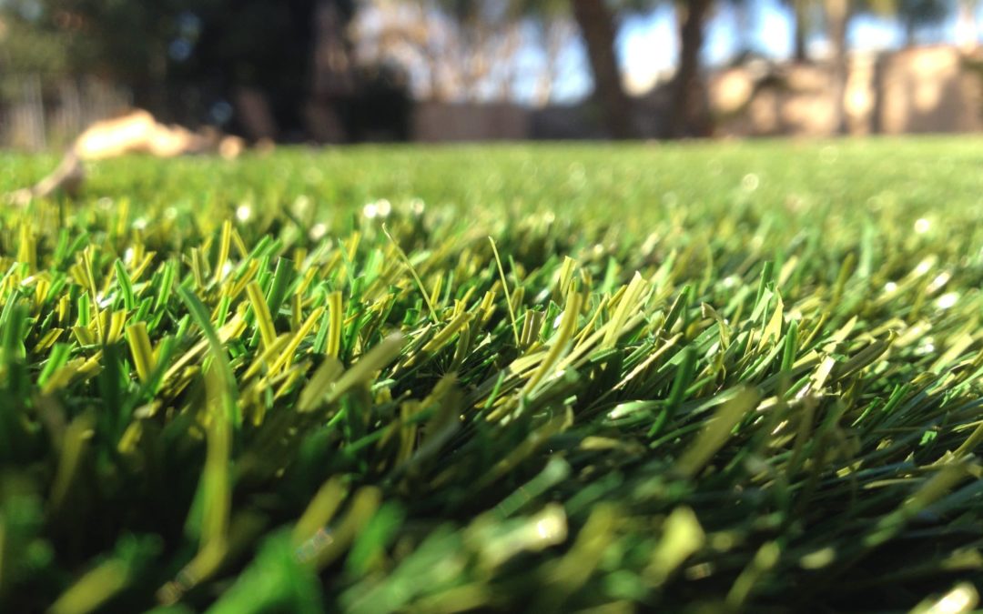 The Facts About Artificial Grass and Lead