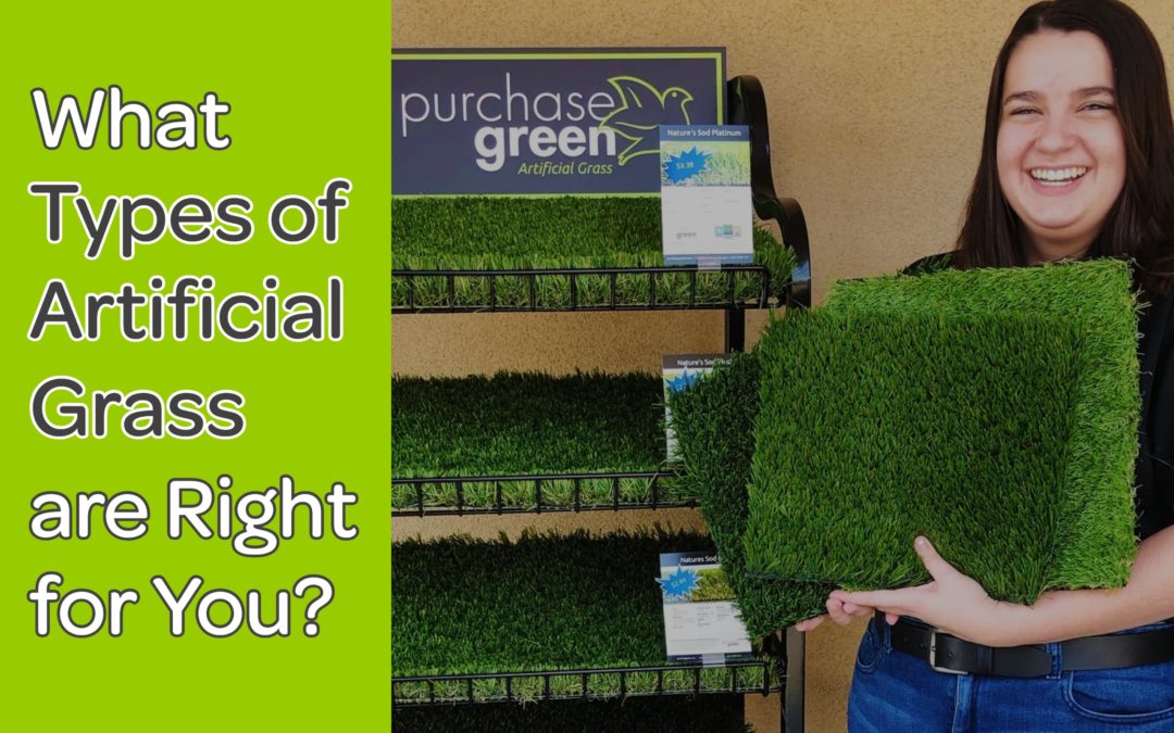 What Types of Artificial Grass are Right for You?