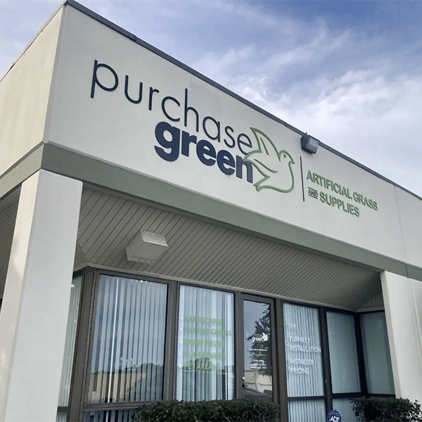 Purchase Green Artificial Grass San Diego Artificial Grass Showroom