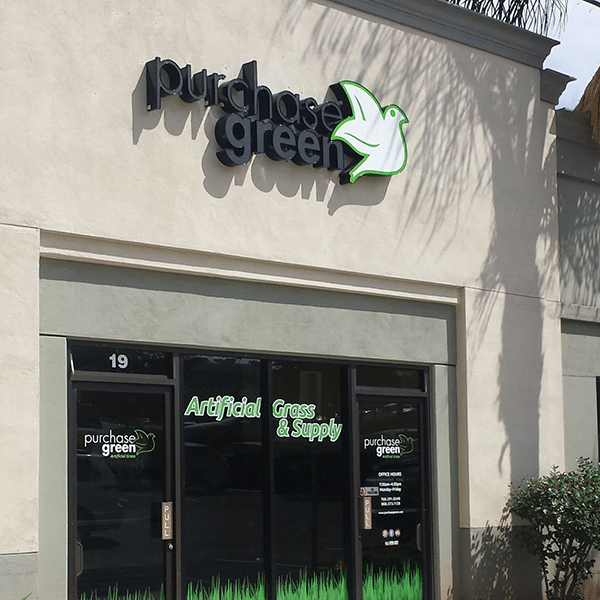 Purchase Green Artificial Grass San Marcos Artificial Grass Showroom