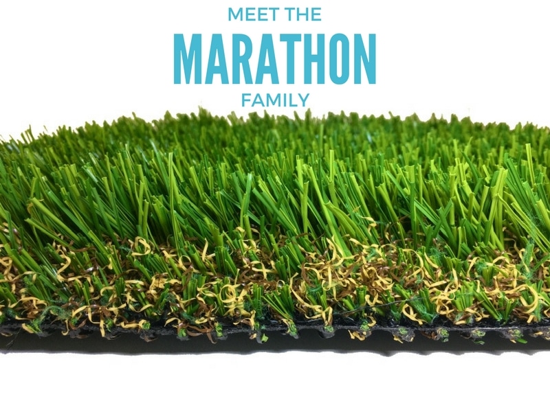Cool Running – Meet the Marathon Family!