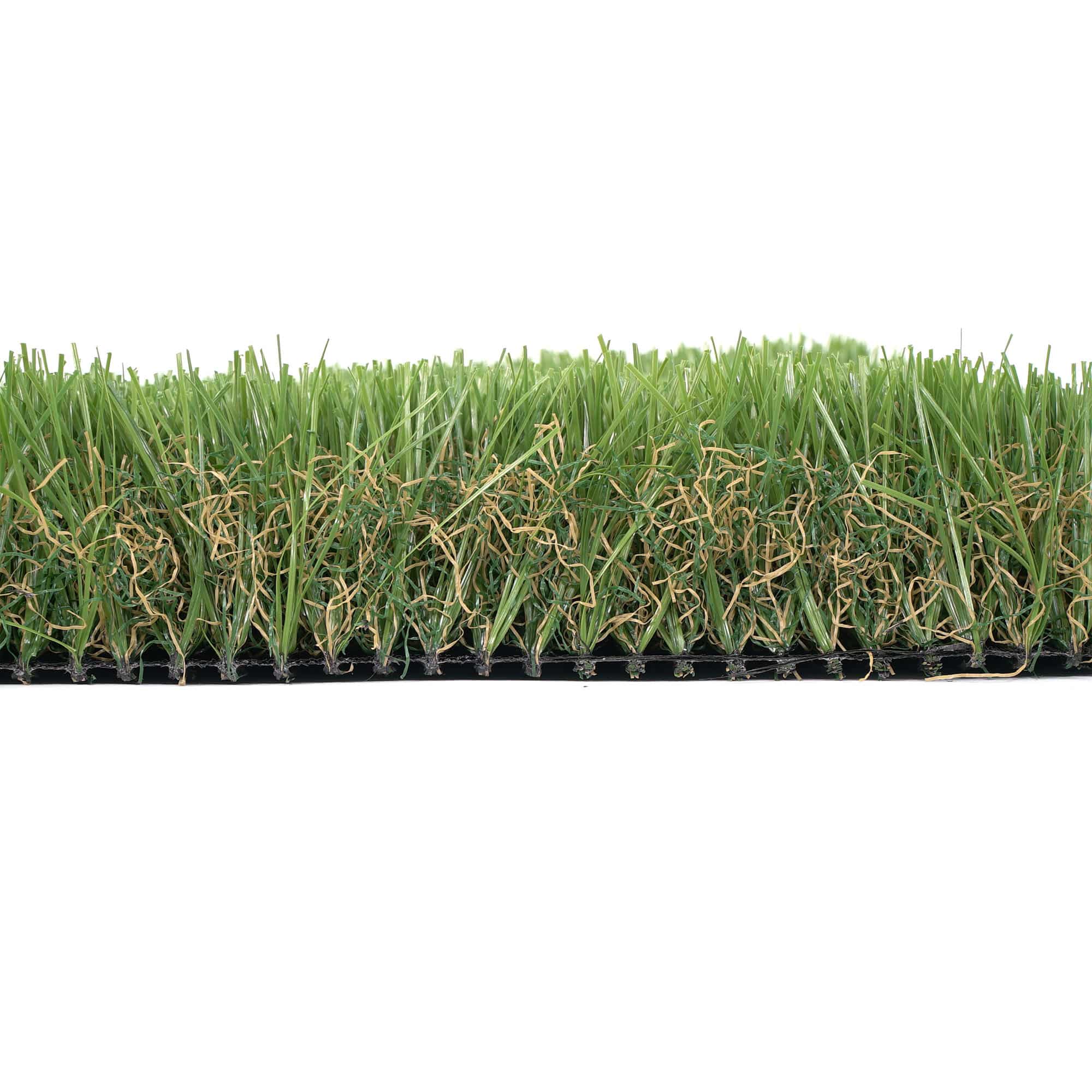 Fescue Supreme - Image 3