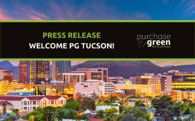 Artificial Grass Superstore Tucson Transitions to Purchase Green Tucson