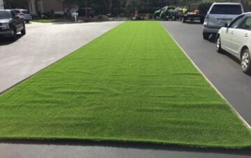 visible wrinkles in artificial grass