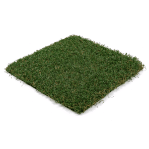 Playscape Premier
