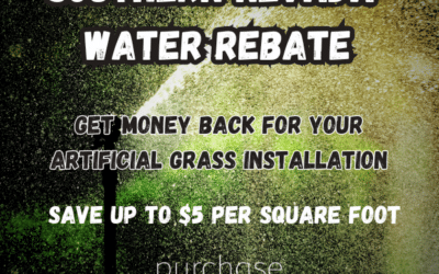 Southern Nevada Water Rebate : Artificial Grass Rebates