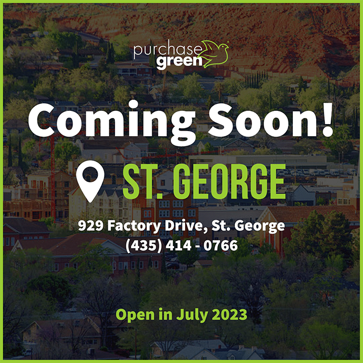purchase green artificial grass st. george