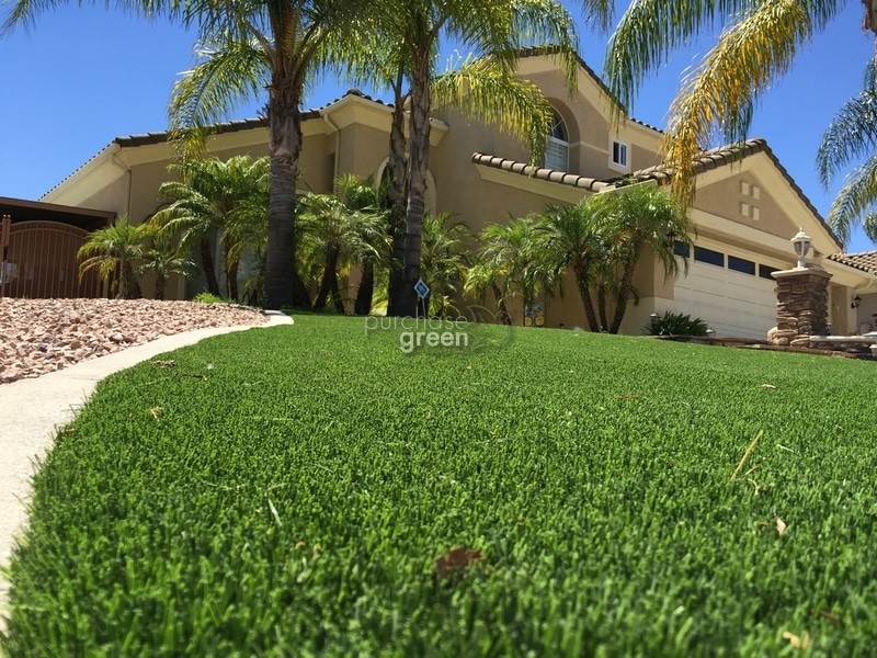 Artificial Grass: Top 7 Reasons to Make the Switch