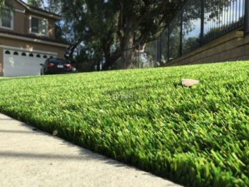 Common Artificial Grass Myths Finally Answered