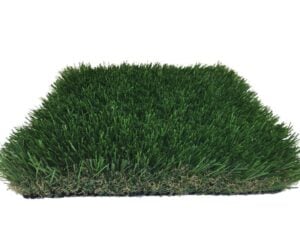 Bluegrass Supreme - Image 3
