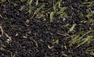 Pellets of crumb rubber are shown here in artificial turf. Photo credit: katu.com