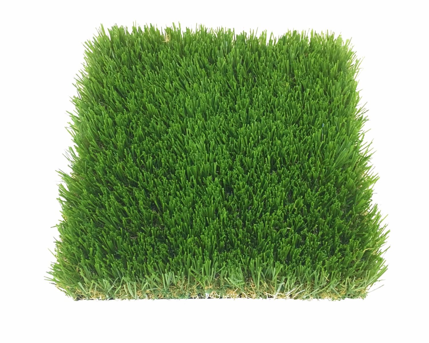 Fescue Supreme - Image 2