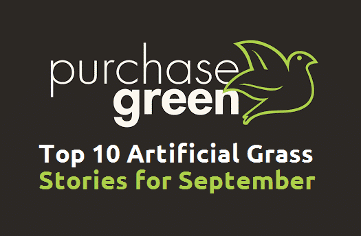 September’s Top 10 Artificial Grass Stories