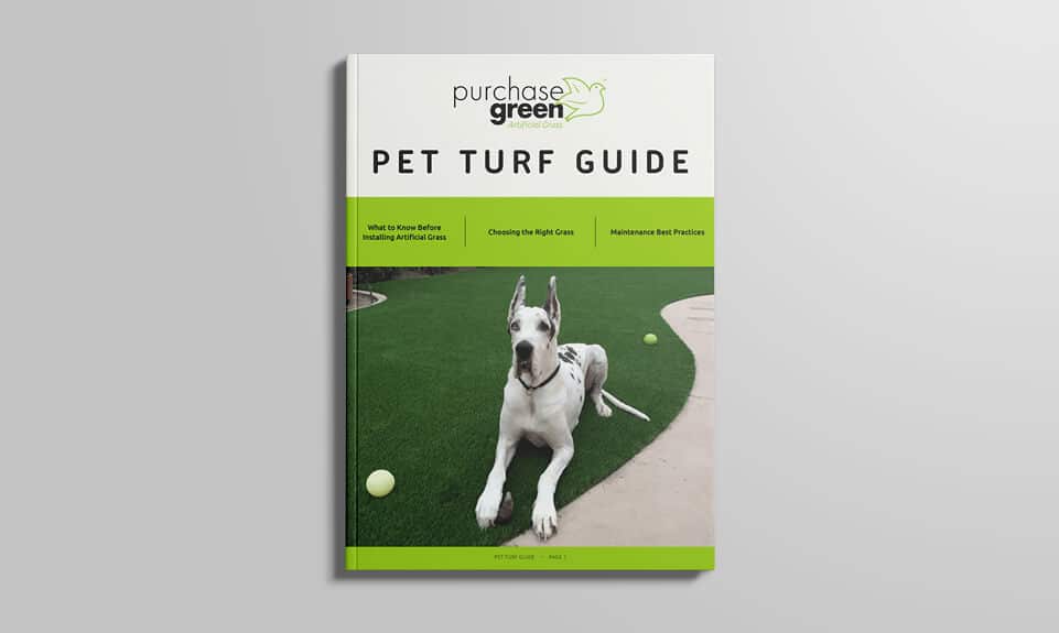 media-block-pet-turf-guide-961x575