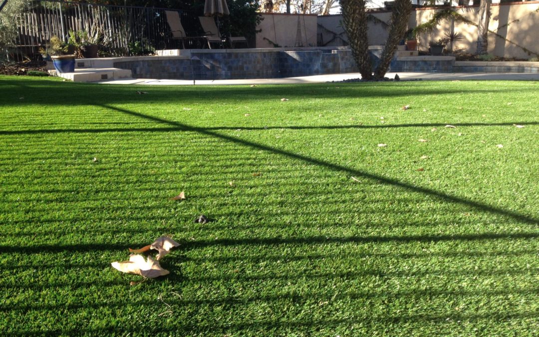 Artificial Grass – What About Weeds?