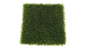 Neo Terra Olive - Image 2