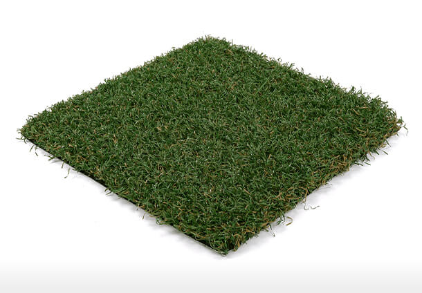 Playscape Premier 75
