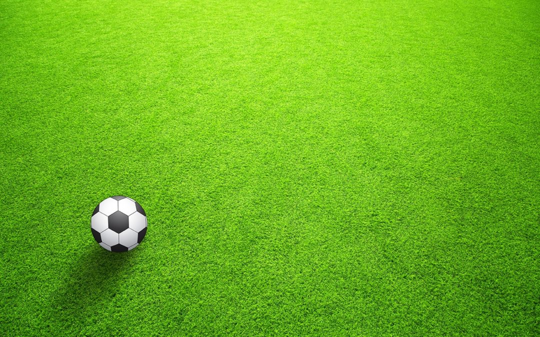 Six Components and Materials to Consider for Your Artificial Grass Installation