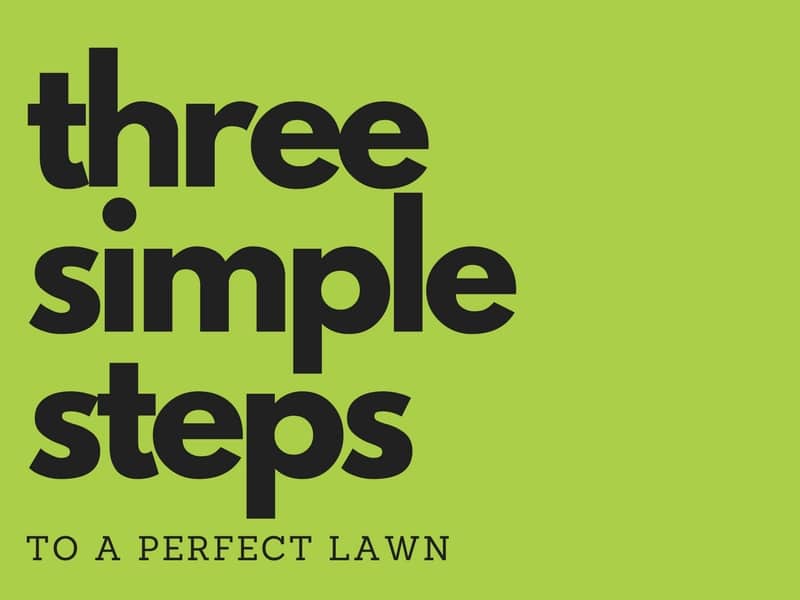 3 Simple Steps to a Perfect Lawn
