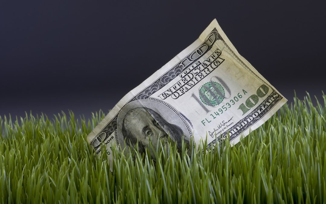 water-rebate-program-expansion-purchase-green-artificial-grass
